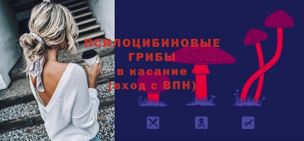 стафф Вяземский