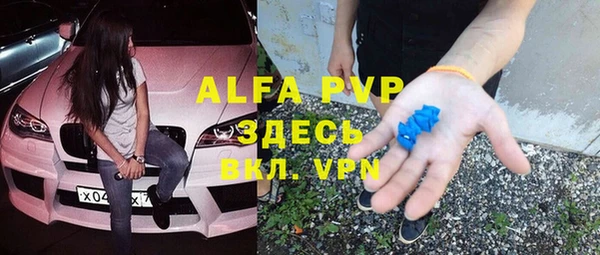стафф Вяземский