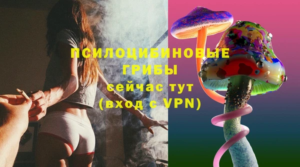 стафф Вяземский