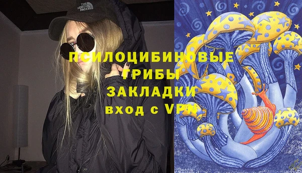прущий лед Вязники